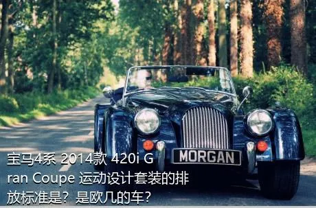 宝马4系 2014款 420i Gran Coupe 运动设计套装的排放标准是？是欧几的车？