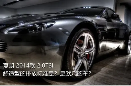 夏朗 2014款 2.0TSI 舒适型的排放标准是？是欧几的车？