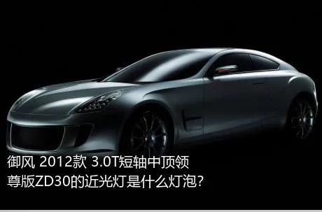 御风 2012款 3.0T短轴中顶领尊版ZD30的近光灯是什么灯泡？