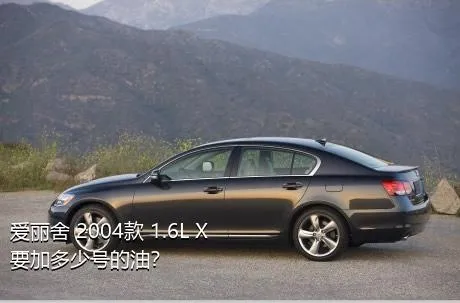 爱丽舍 2004款 1.6L X要加多少号的油？