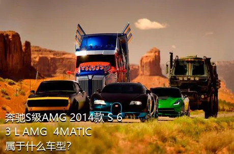 奔驰S级AMG 2014款 S 63 L AMG  4MATIC属于什么车型？