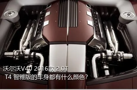 沃尔沃V40 2016款 2.0T T4 智雅版的车身都有什么颜色？