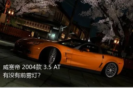 威赛帝 2004款 3.5 AT有没有前雾灯？