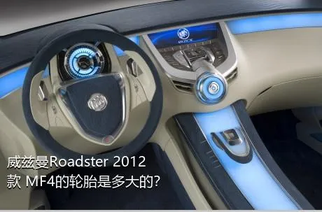 威兹曼Roadster 2012款 MF4的轮胎是多大的？