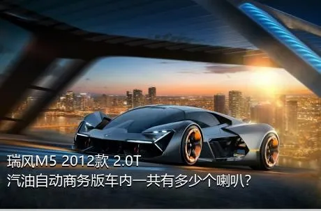 瑞风M5 2012款 2.0T 汽油自动商务版车内一共有多少个喇叭？