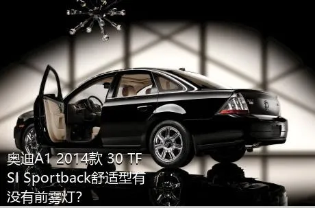 奥迪A1 2014款 30 TFSI Sportback舒适型有没有前雾灯？