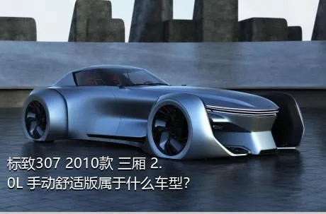 标致307 2010款 三厢 2.0L 手动舒适版属于什么车型？