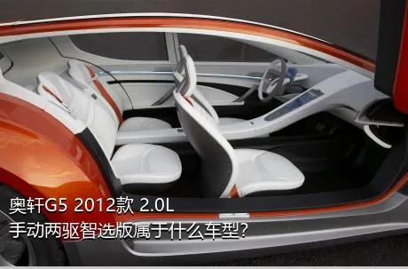 奥轩G5 2012款 2.0L 手动两驱智选版属于什么车型？