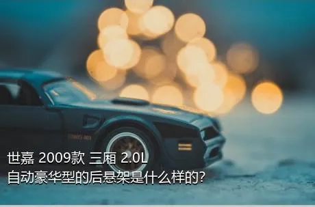 世嘉 2009款 三厢 2.0L 自动豪华型的后悬架是什么样的？