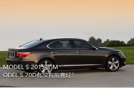 MODEL S 2015款 MODEL S 70D有没有前雾灯？