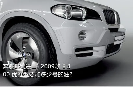 奔驰E级(进口) 2009款 E 300 优雅型要加多少号的油？