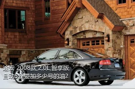 途安 2008款 2.0L 智享版自动5座要加多少号的油？