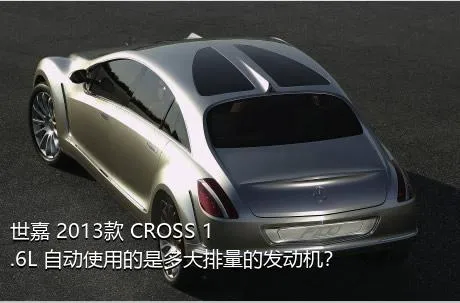 世嘉 2013款 CROSS 1.6L 自动使用的是多大排量的发动机？