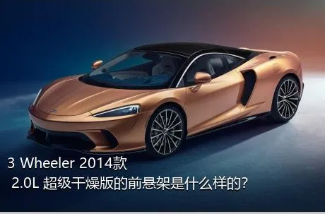 3 Wheeler 2014款 2.0L 超级干燥版的前悬架是什么样的？