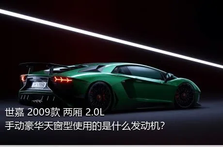 世嘉 2009款 两厢 2.0L 手动豪华天窗型使用的是什么发动机？