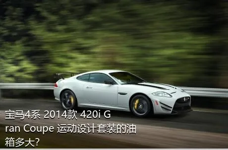 宝马4系 2014款 420i Gran Coupe 运动设计套装的油箱多大？