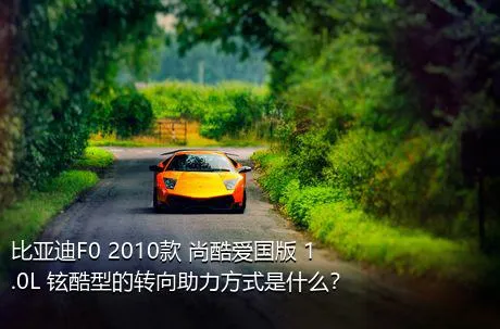 比亚迪F0 2010款 尚酷爱国版 1.0L 铉酷型的转向助力方式是什么？