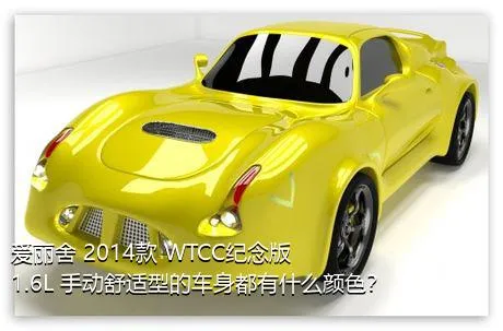 爱丽舍 2014款 WTCC纪念版 1.6L 手动舒适型的车身都有什么颜色？