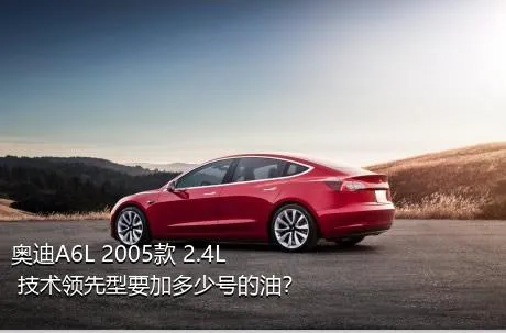 奥迪A6L 2005款 2.4L 技术领先型要加多少号的油？