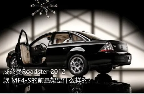 威兹曼Roadster 2012款 MF4-S的前悬架是什么样的？