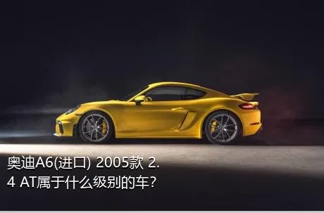 奥迪A6(进口) 2005款 2.4 AT属于什么级别的车？