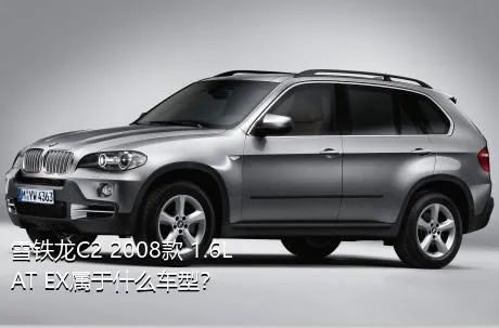 雪铁龙C2 2008款 1.6L AT EX属于什么车型？