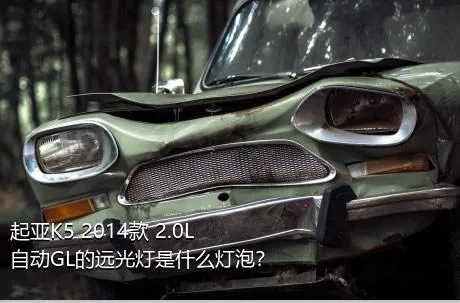 起亚K5 2014款 2.0L 自动GL的远光灯是什么灯泡？