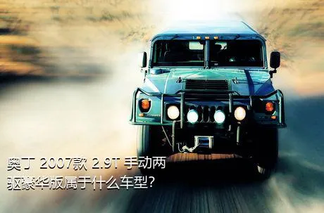 奥丁 2007款 2.9T 手动两驱豪华版属于什么车型？