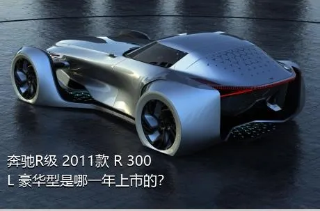 奔驰R级 2011款 R 300 L 豪华型是哪一年上市的？