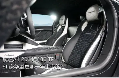 奥迪A1 2014款 30 TFSI 豪华型是哪一年上市的？