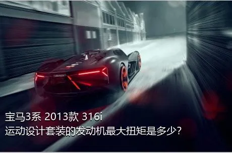 宝马3系 2013款 316i 运动设计套装的发动机最大扭矩是多少？