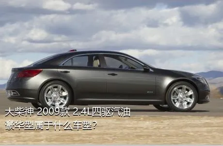 大柴神 2009款 2.4L四驱汽油豪华型属于什么车型？