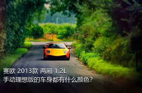 赛欧 2013款 两厢 1.2L 手动理想版的车身都有什么颜色？