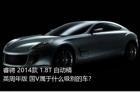 睿骋 2014款 1.8T 自动精英周年版 国V属于什么级别的车？