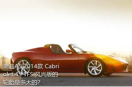 奥迪A5 2014款 Cabriolet 45 TFSI风尚版的轮胎是多大的？