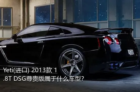 Yeti(进口) 2013款 1.8T DSG尊贵版属于什么车型？