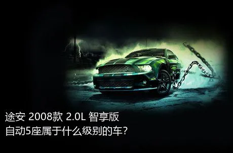 途安 2008款 2.0L 智享版自动5座属于什么级别的车？