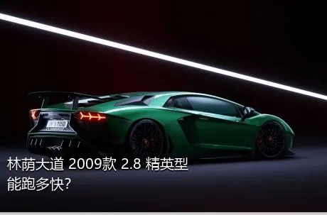 林荫大道 2009款 2.8 精英型能跑多快？