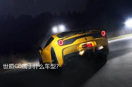 世爵C8属于什么车型？