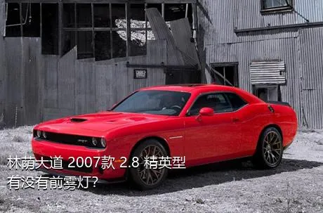 林荫大道 2007款 2.8 精英型有没有前雾灯？