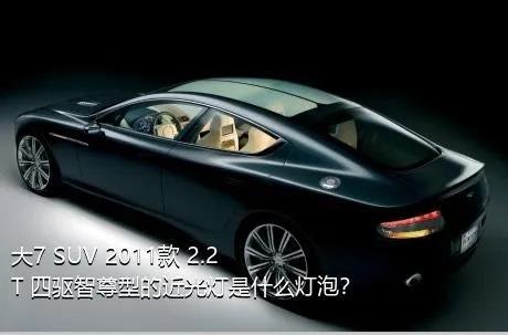 大7 SUV 2011款 2.2T 四驱智尊型的近光灯是什么灯泡？