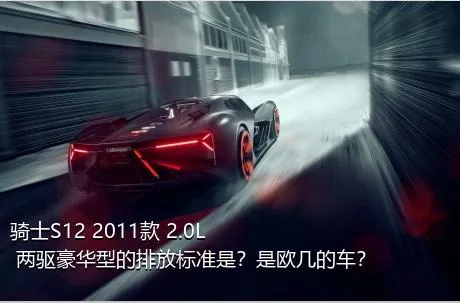 骑士S12 2011款 2.0L 两驱豪华型的排放标准是？是欧几的车？