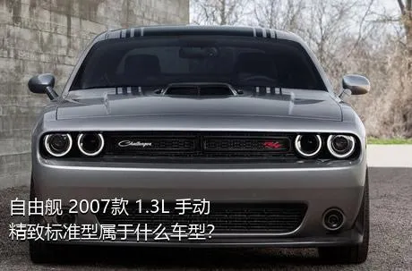 自由舰 2007款 1.3L 手动精致标准型属于什么车型？