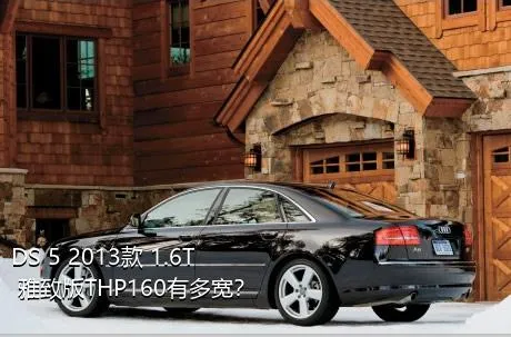 DS 5 2013款 1.6T 雅致版THP160有多宽？