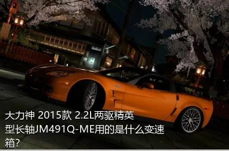 大力神 2015款 2.2L两驱精英型长轴JM491Q-ME用的是什么变速箱？