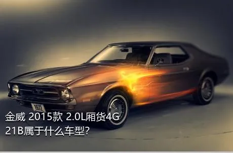 金威 2015款 2.0L厢货4G21B属于什么车型？