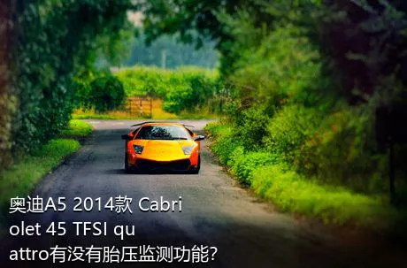 奥迪A5 2014款 Cabriolet 45 TFSI quattro有没有胎压监测功能？