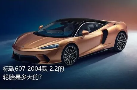 标致607 2004款 2.2的轮胎是多大的？