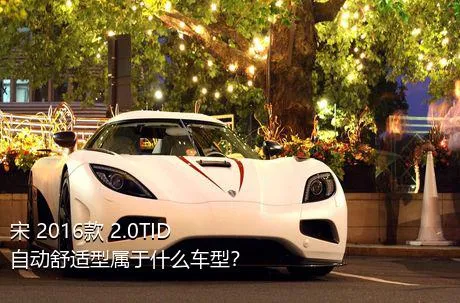 宋 2016款 2.0TID 自动舒适型属于什么车型？