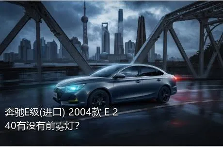 奔驰E级(进口) 2004款 E 240有没有前雾灯？